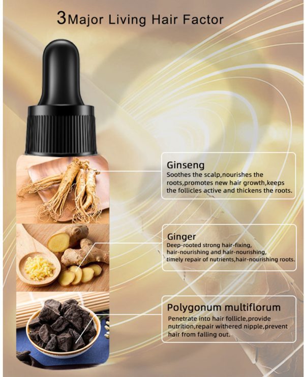 Hair Growth Oil Hair Growth Oil Oem Hair Care Essential Oil - Image 7