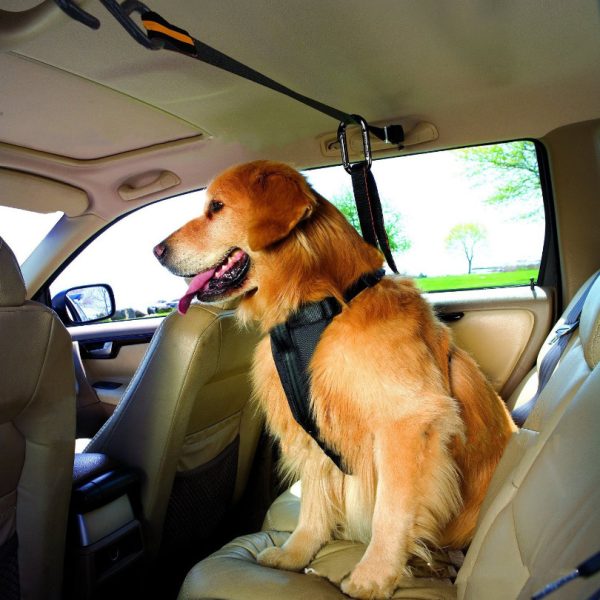 Pet Safety Belt Dual-purpose Car Lanyard - Image 4