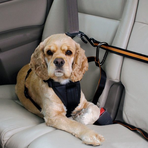 Pet Safety Belt Dual-purpose Car Lanyard - Image 3