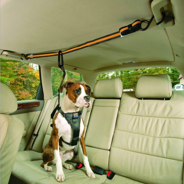 Pet Safety Belt Dual-purpose Car Lanyard - Image 5